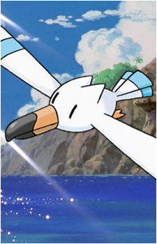 Wingull's image