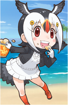 Atlantic Puffin