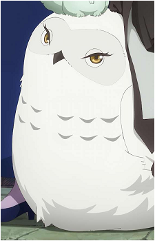 Shirofukurou's image