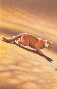 Sandstorm