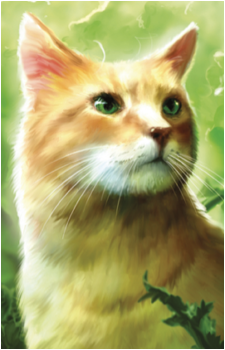 Sandstorm's image