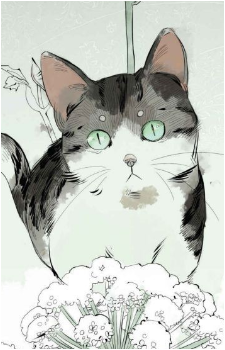 Chairman Meow's image