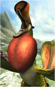 Qurupeco's image