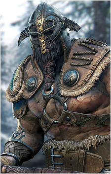 Raider's image