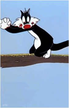 Sylvester