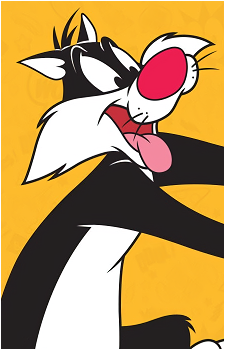 Sylvester's image