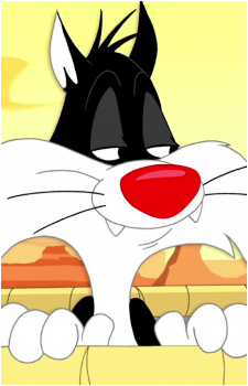 Sylvester