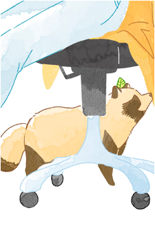 Image 22