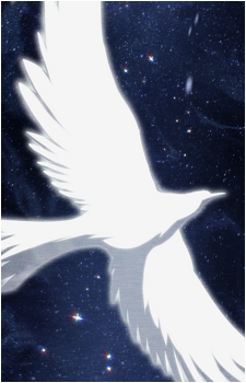 The Bird Who Counts Stars's image