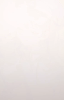 Image 30