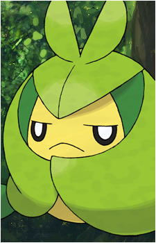 Sewaddle