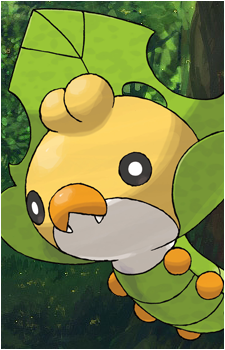 Sewaddle's image
