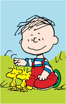 Rerun van Pelt's image