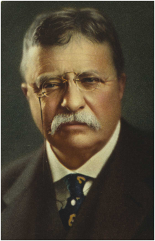 Theodore Roosevelt's image