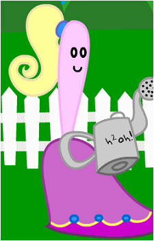 Marzipan