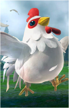 Giant Cucco Image