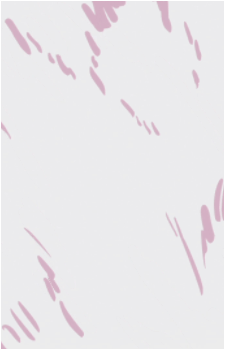 Image 34
