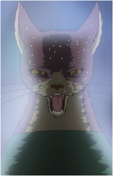 Neko-sensei