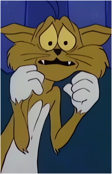 Fraidy Cat's image