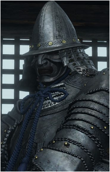Armored Warrior