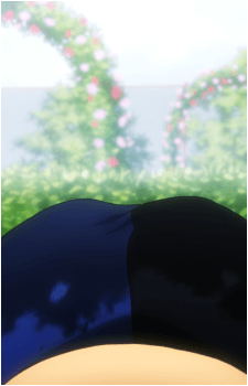 Image 47