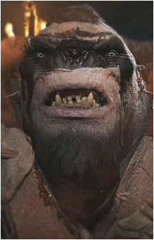 Ranger's image