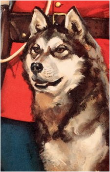 Yukon King