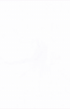 Image 36