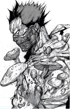 Image 21