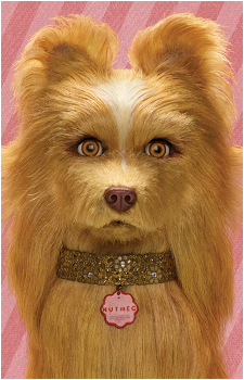 Nutmeg's image