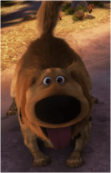 Dug