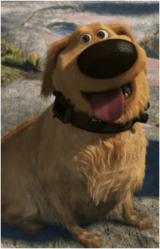 Dug