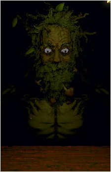 Leshy