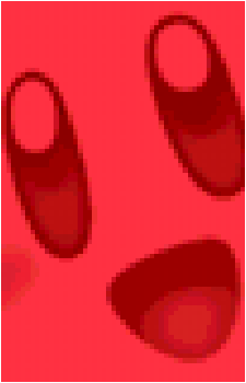 Image 35