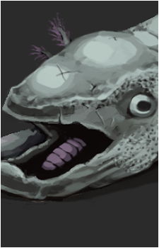 Salmonsnake's image