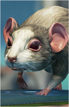 Ash's Rat's image
