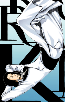 Coyote Starrk