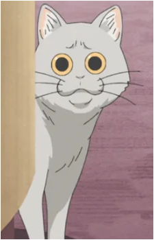 Kuso Cat