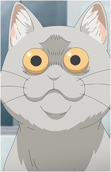 Kuso Cat