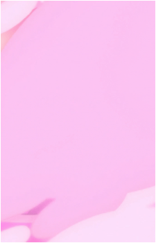 Tsubomi Hanasaki