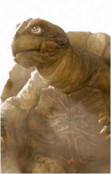 Toto {Gamera}'s image