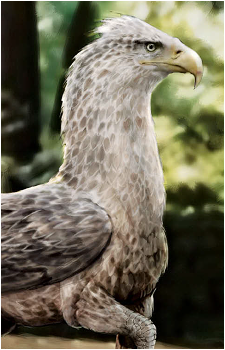 Buckbeak