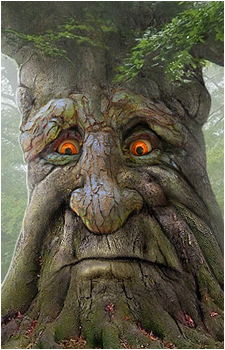 Image 2 of Wise Mystical Tree