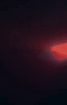 Image 22