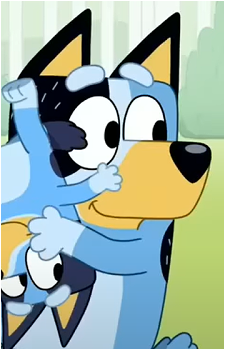 Bandit Heeler