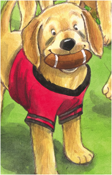 Budderball's image