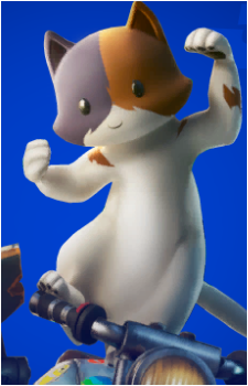 Kit's image