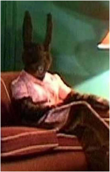 Suzie Rabbit's image