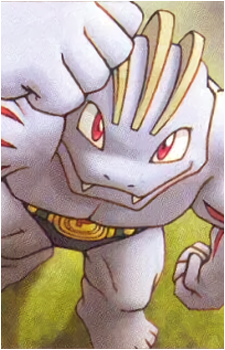 Image 37