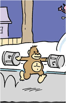 The Garbage Ape
